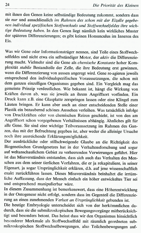 Pagina 24